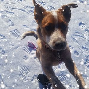 Meet your Posher, Christa